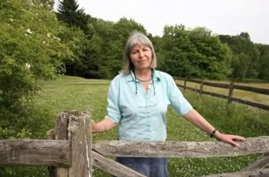 DT Times